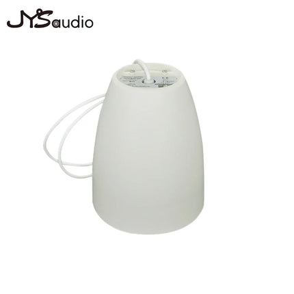 Fashion Indoor Hanging Speaker Decorative Horn Ceiling Loudspeaker Public Address System Wall-mounted for Coffee Shop Restaurant