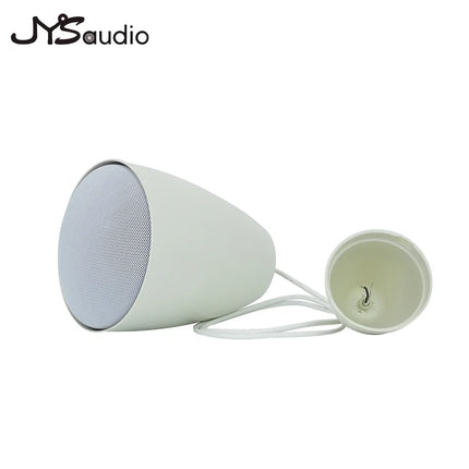 Fashion Indoor Hanging Speaker Decorative Horn Ceiling Loudspeaker Public Address System Wall-mounted for Coffee Shop Restaurant